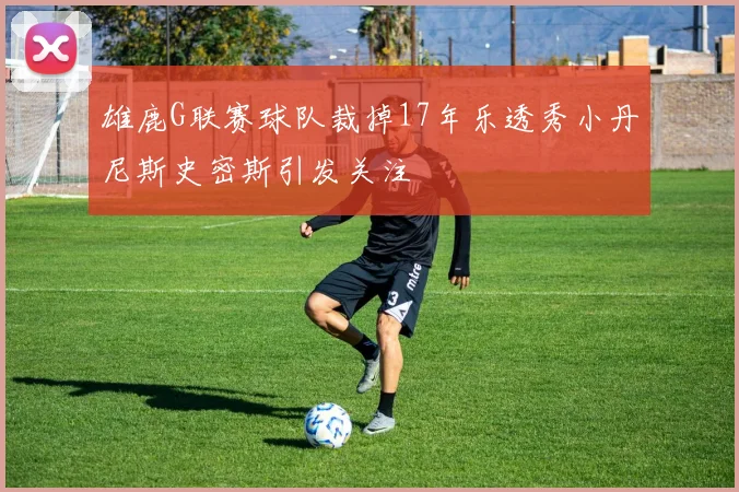 雄鹿G联赛球队裁掉17年乐透秀小丹尼斯史密斯引发关注