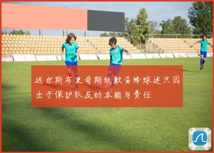 迈尔斯布里奇斯致歉黄蜂球迷只因出于保护队友的本能与责任