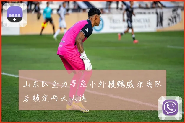 山东队全力寻觅小外援鲍威尔离队后锁定两大人选