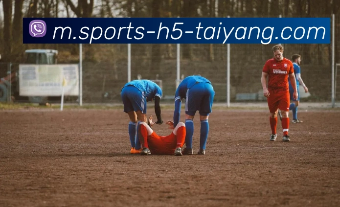 太阳城发展历程